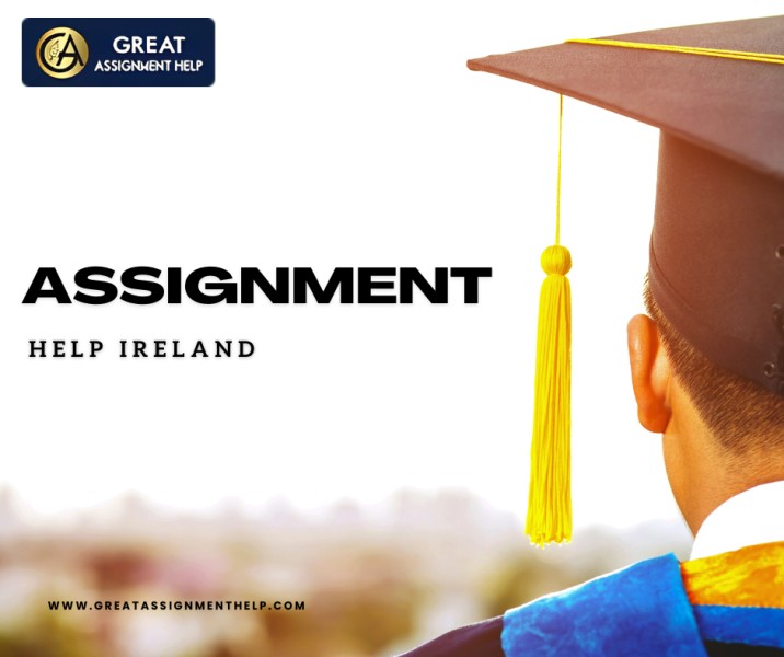 What You Should Know About Assignment Help Online